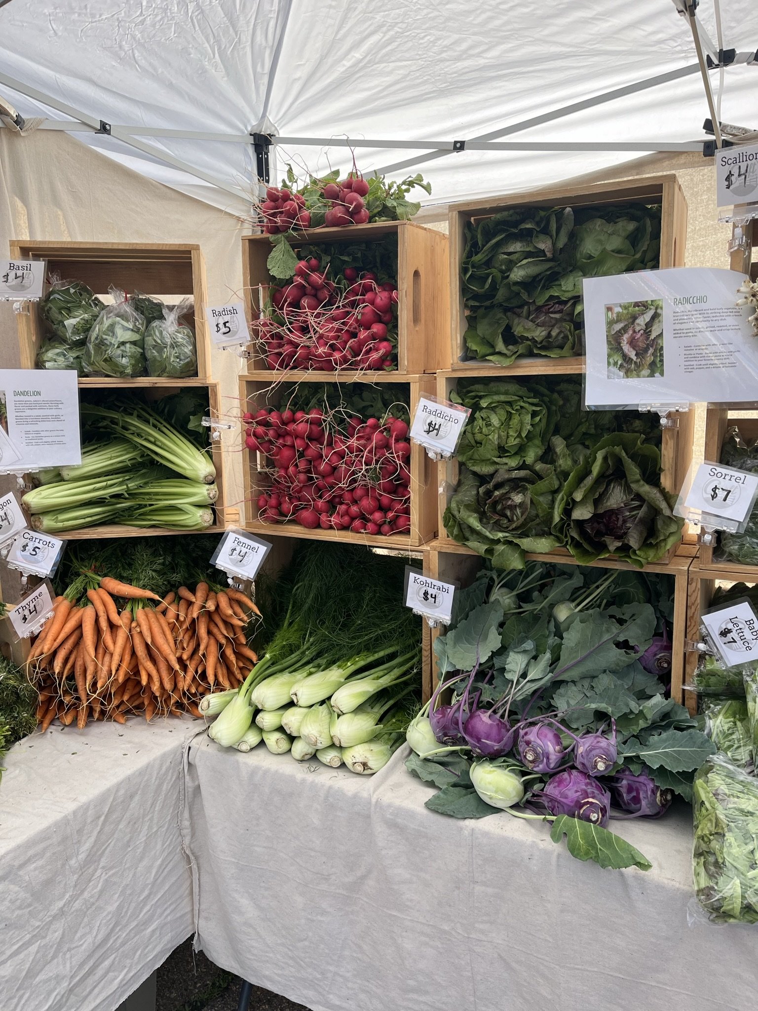 IMG_5272 Fresh produce display at a farmers market featuring a variety of vegetables including radishes, carrots, scallions, and kohlrabi, organized in wooden crates with price tags.